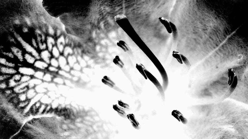 Impactist The Type Writer Still Frame 19