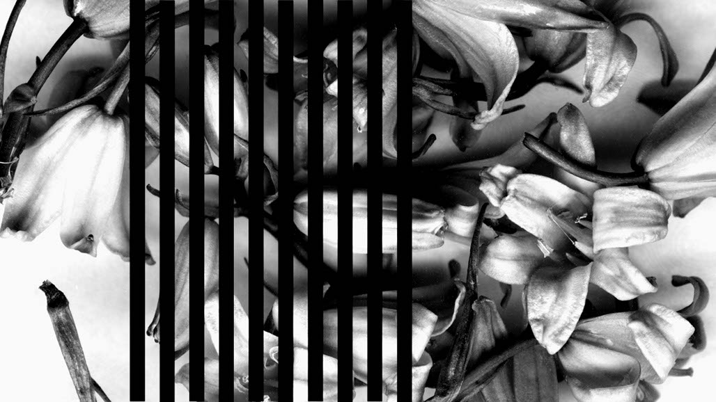 Impactist The Type Writer Still Frame 21