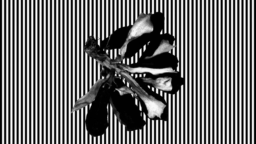 Impactist The Type Writer Still Frame 14