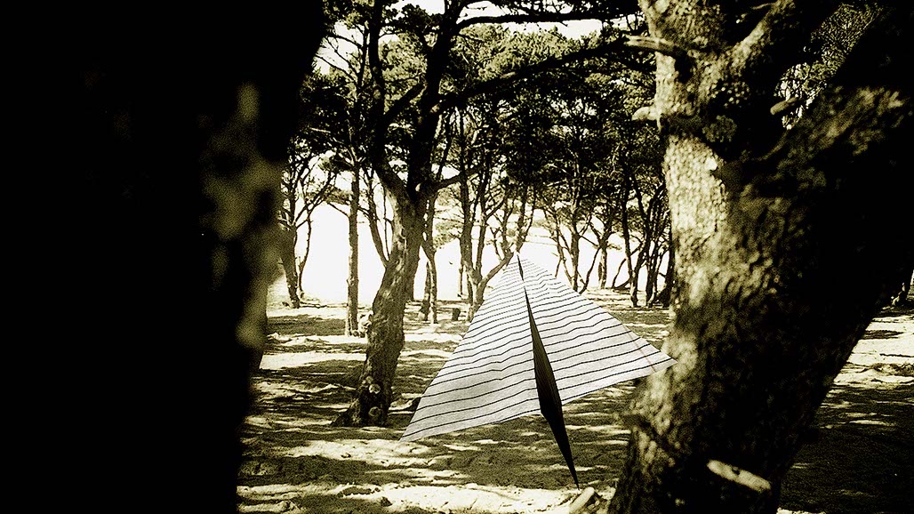 Impactist We Take Still Frame 03