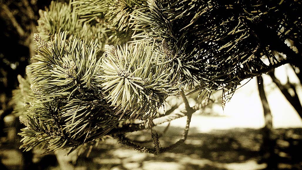 Impactist We Take Still Frame 04