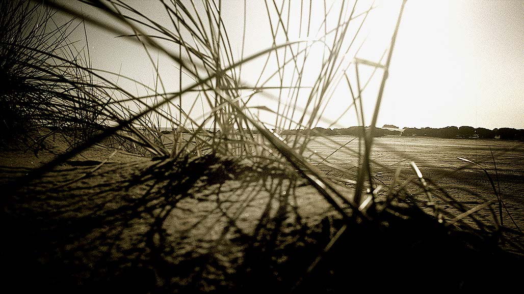 Impactist We Take Still Frame 06