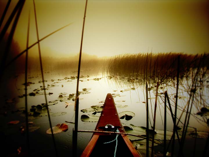 Impactist Ranch Still Frame 01