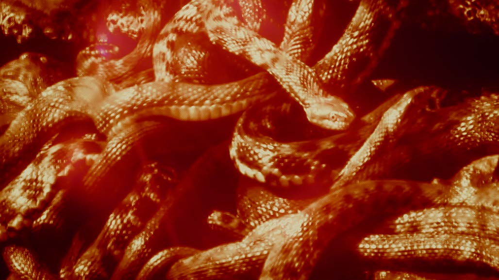 Impactist FX THE SECRETS OF HILLSONG Still Frame 04