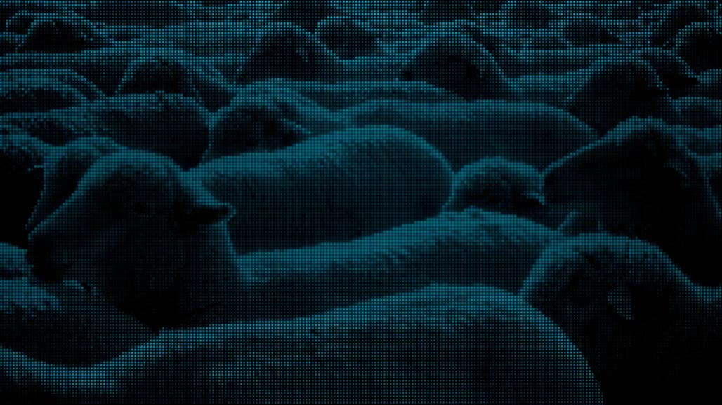 Impactist FX THE SECRETS OF HILLSONG Still Frame 06