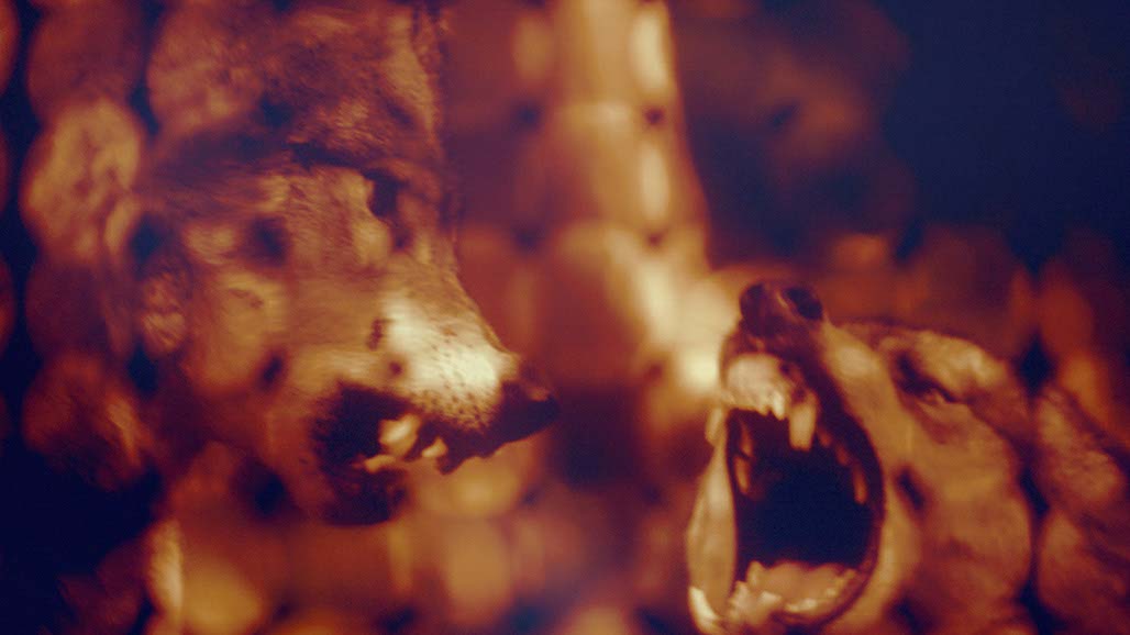 Impactist FX THE SECRETS OF HILLSONG Still Frame 22