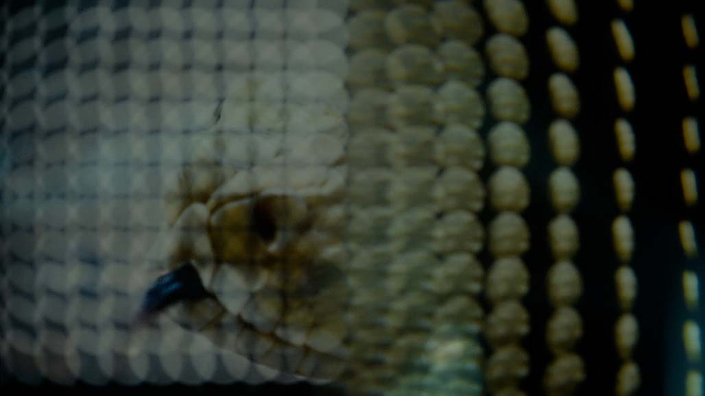 Impactist FX THE SECRETS OF HILLSONG Still Frame 13