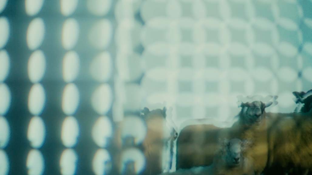 Impactist FX THE SECRETS OF HILLSONG Still Frame 19