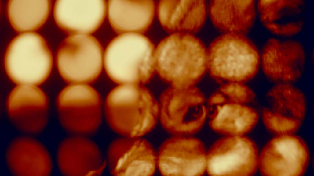 Impactist FX THE SECRETS OF HILLSONG Still Frame 03