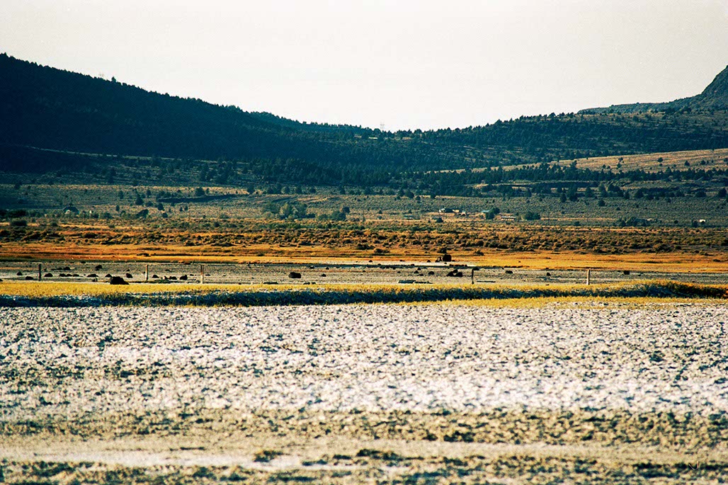 Impactist Summer Lake Image 12