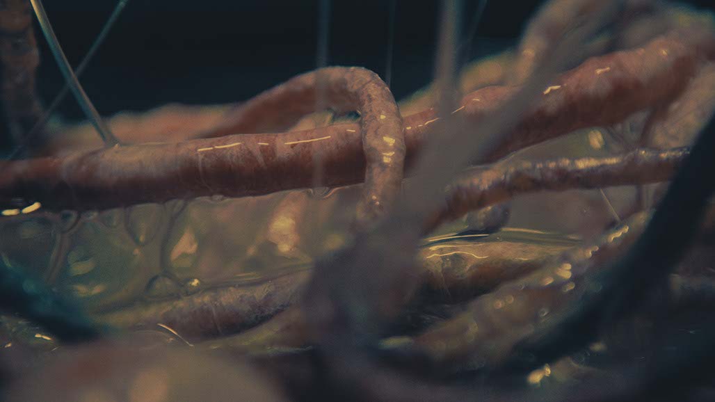 Impactist Carbonated Naturalism Still Frame 03