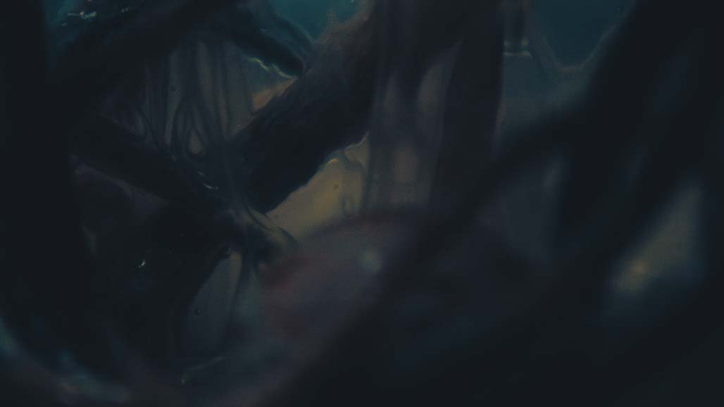 Impactist Carbonated Naturalism Still Frame 29