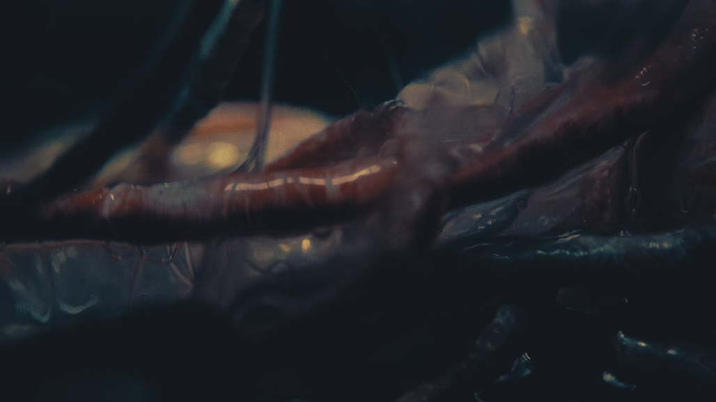 Impactist Carbonated Naturalism Still Frame 23