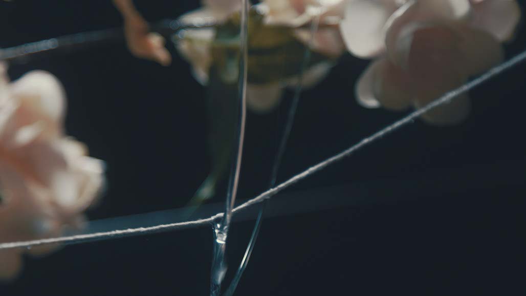 Impactist Carbonated Naturalism Still Frame 33