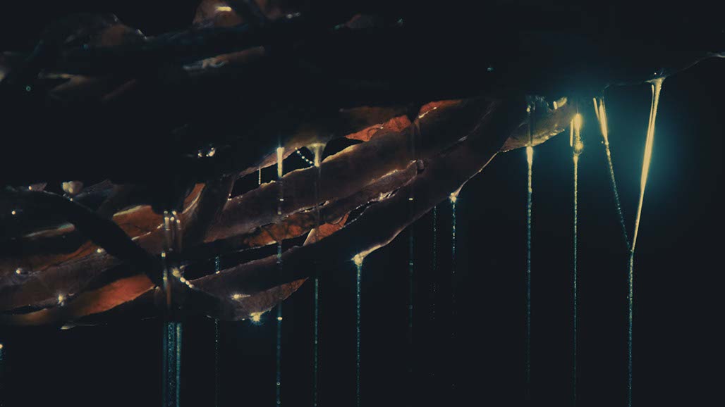 Impactist Carbonated Naturalism Still Frame 30