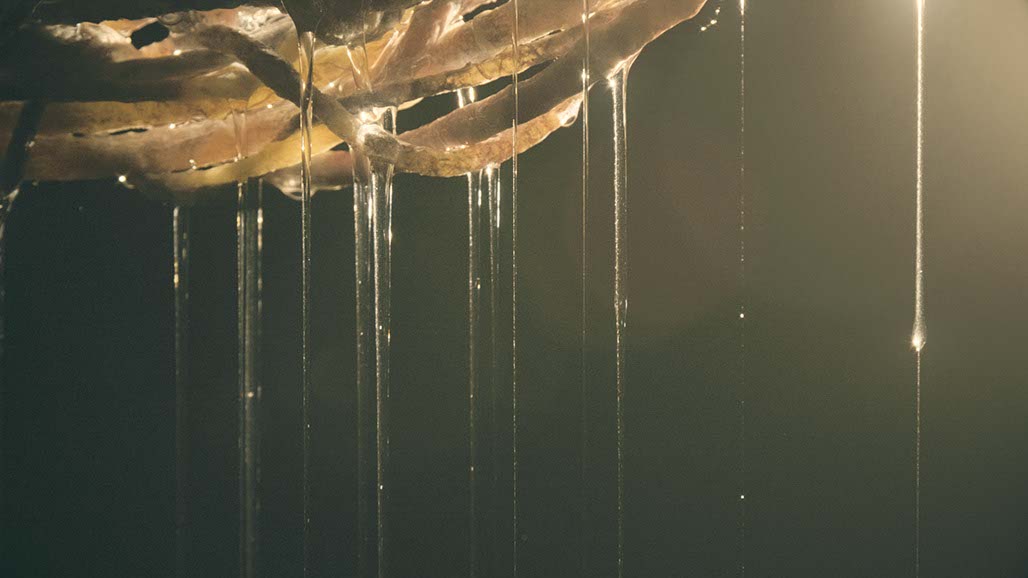 Impactist Carbonated Naturalism Still Frame 05