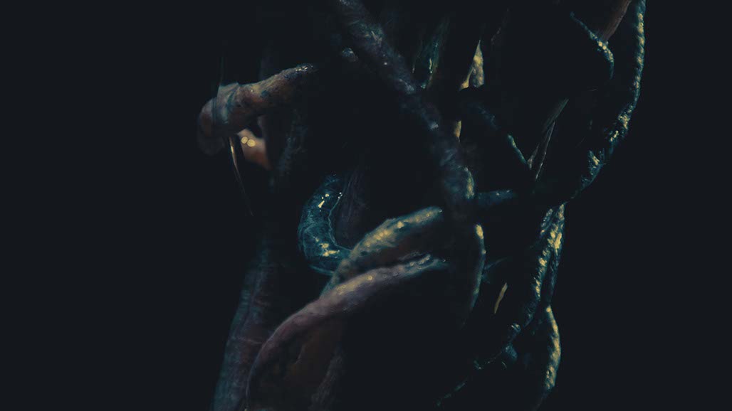 Impactist Carbonated Naturalism Still Frame 09