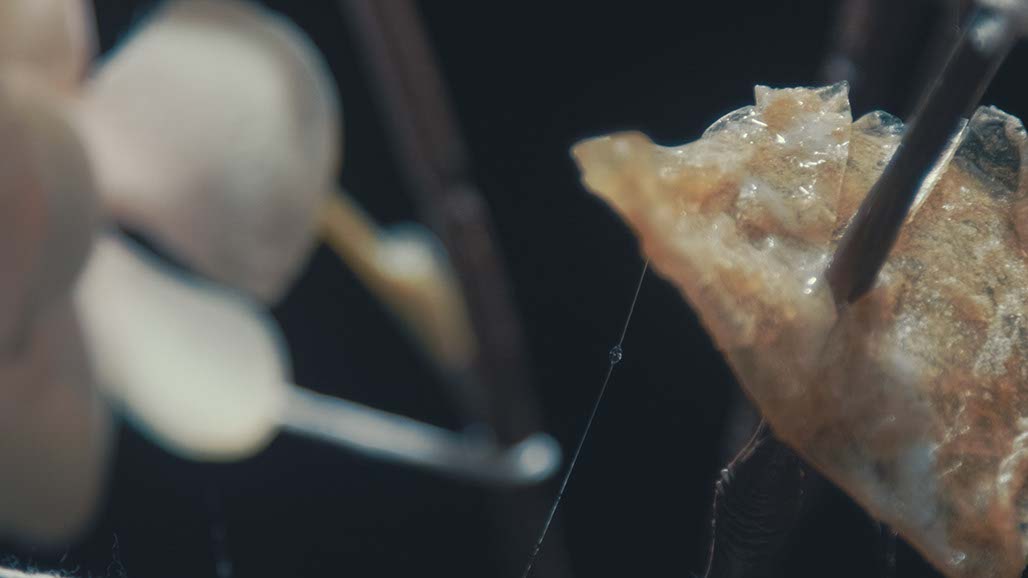 Impactist Carbonated Naturalism Still Frame 24