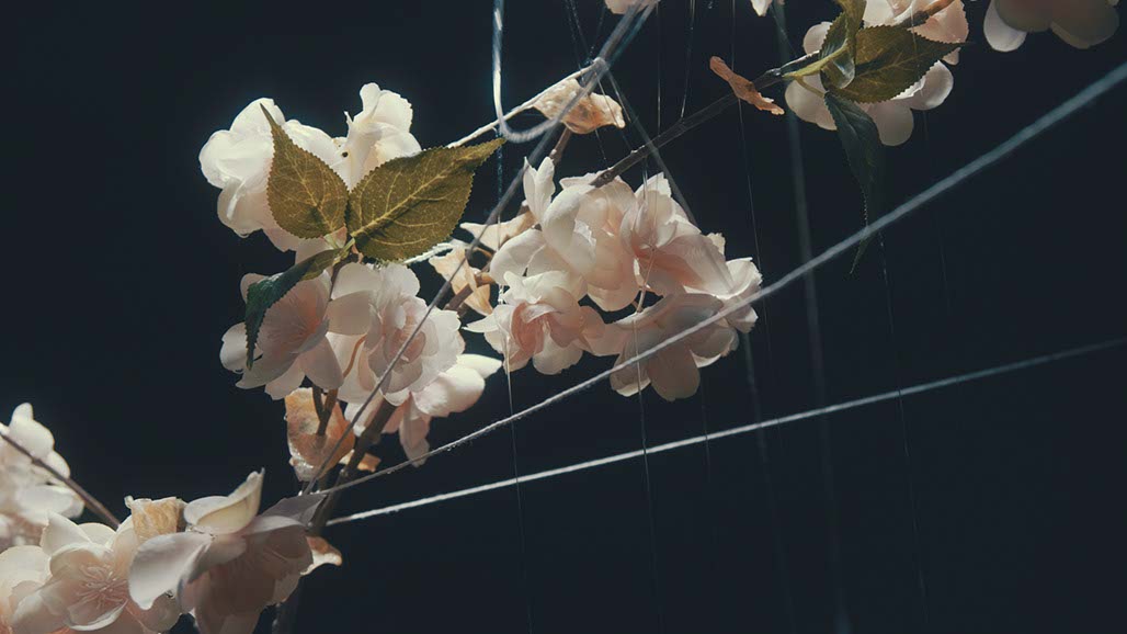 Impactist Carbonated Naturalism Still Frame 12