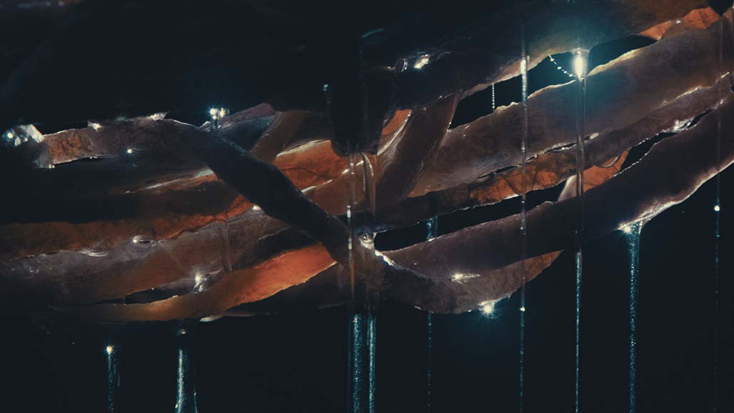 Impactist Carbonated Naturalism Still Frame 14