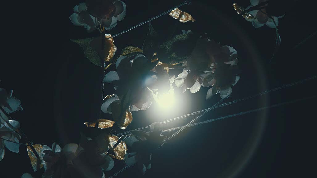 Impactist Carbonated Naturalism Still Frame 17