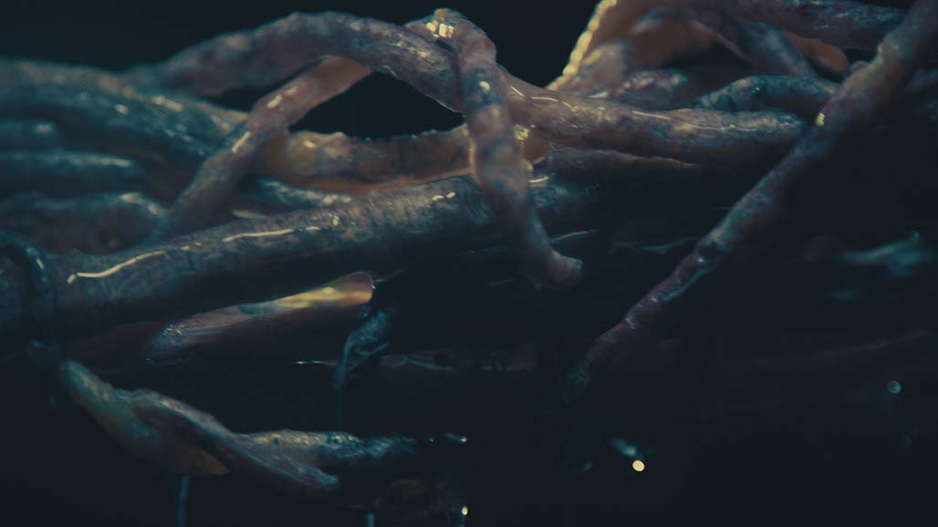 Impactist Carbonated Naturalism Still Frame 25