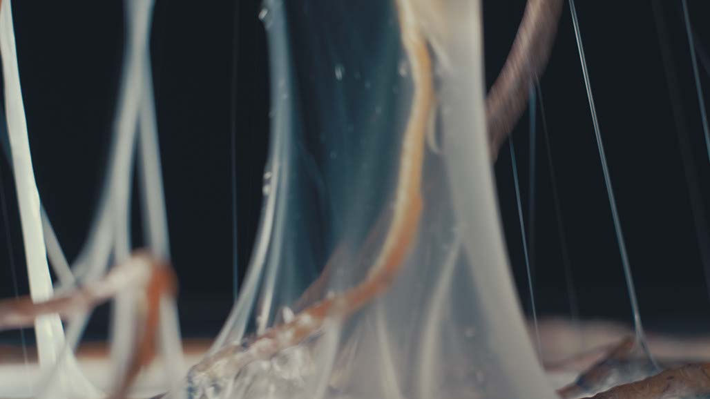 Impactist Carbonated Naturalism Still Frame 19