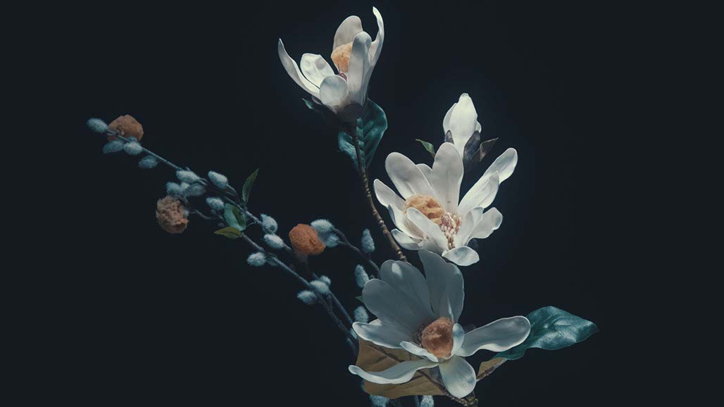 Impactist Carbonated Naturalism Still Frame 26