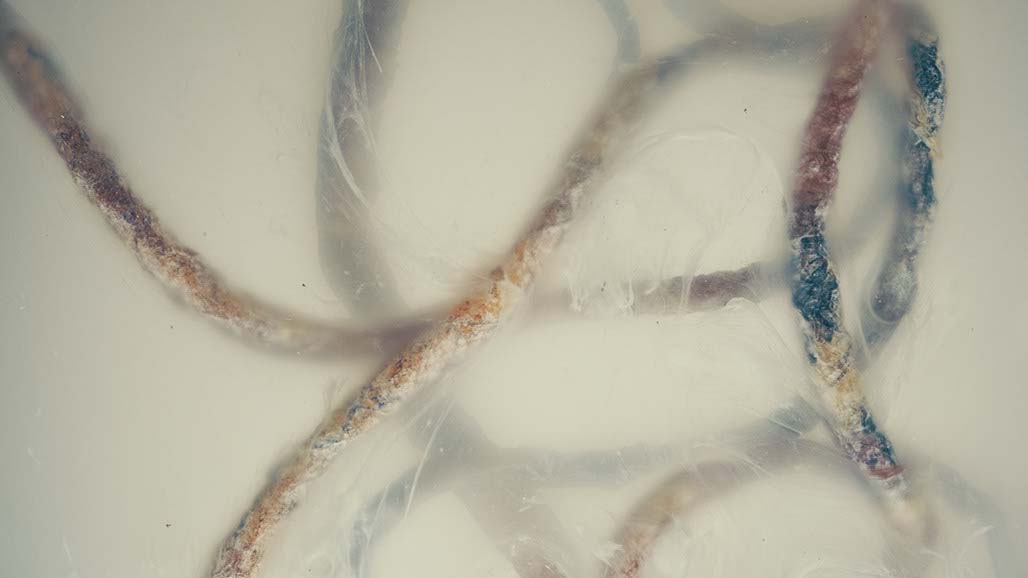 Impactist Carbonated Naturalism Still Frame 22