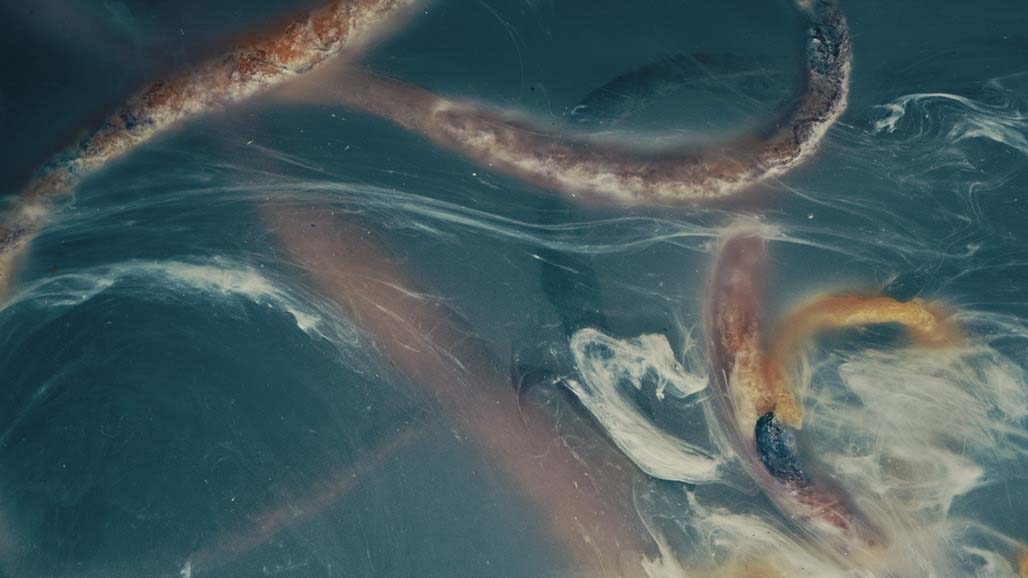 Impactist Carbonated Naturalism Still Frame 27