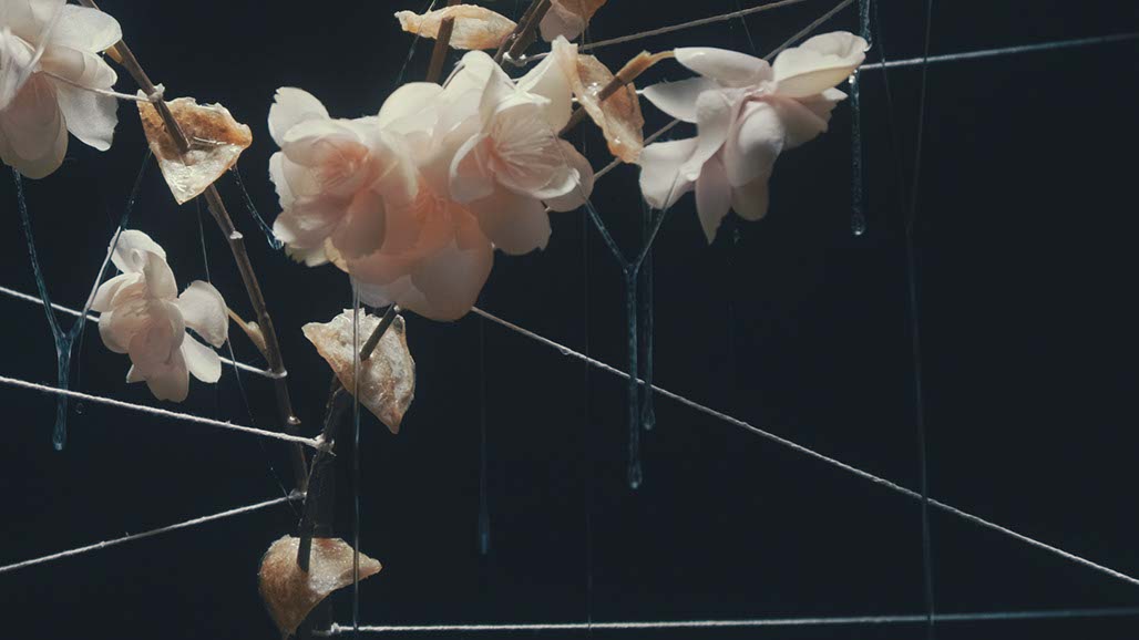 Impactist Carbonated Naturalism Still Frame 28