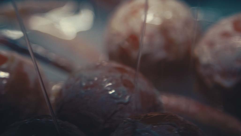 Impactist Carbonated Naturalism Still Frame 08