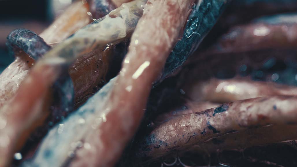 Impactist Carbonated Naturalism Still Frame 10