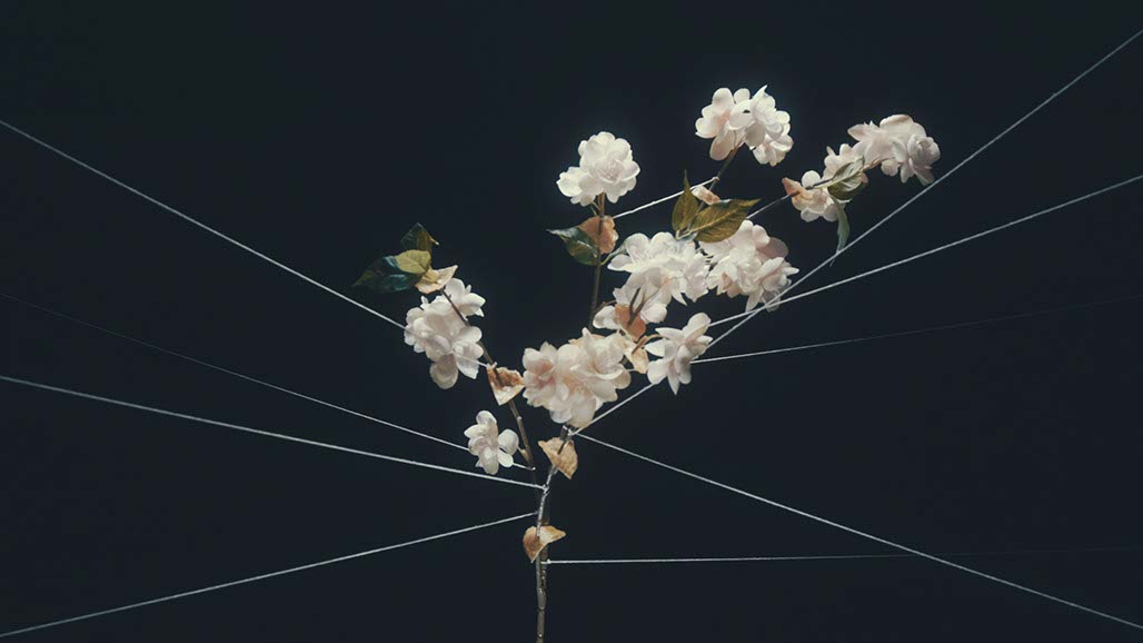 Impactist Carbonated Naturalism Still Frame 02