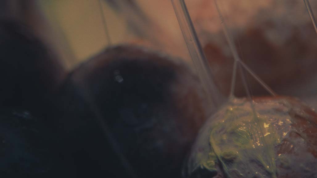 Impactist Carbonated Naturalism Still Frame 31