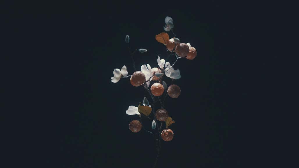 Impactist Carbonated Naturalism Still Frame 06