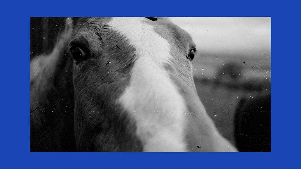 Impactist Earthworked Still Frame 12