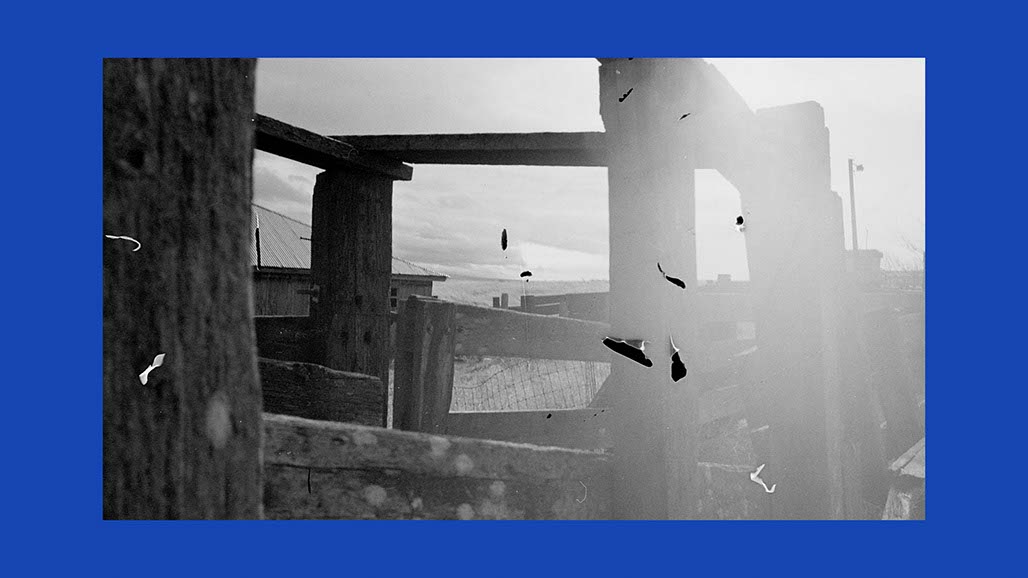 Impactist Earthworked Still Frame 15