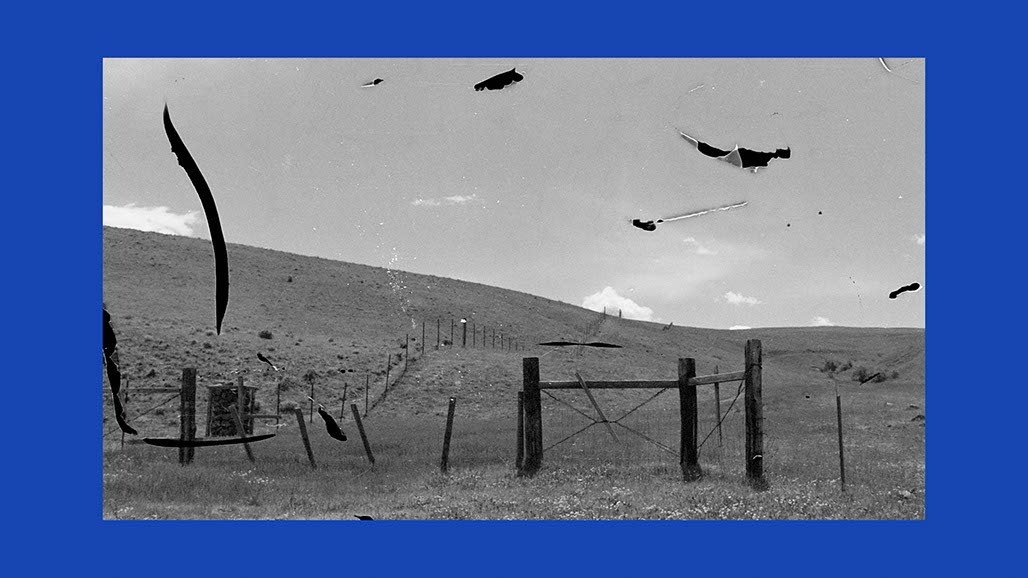 Impactist Earthworked Still Frame 10