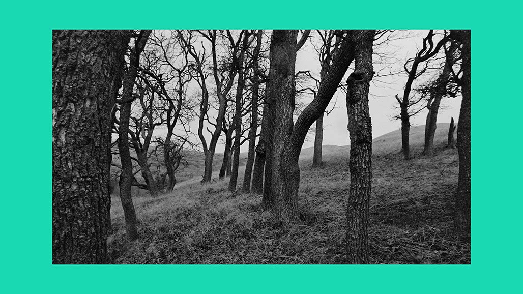 Impactist Earthworked Still Frame 05