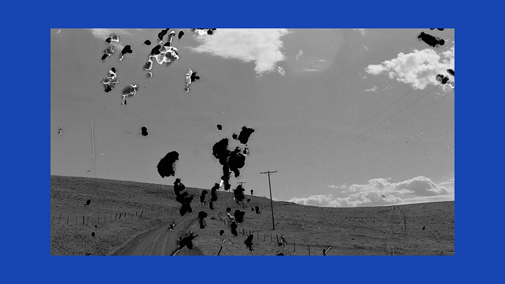 Impactist Earthworked Still Frame 11