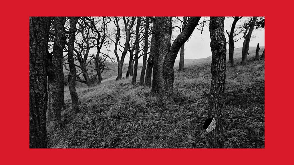 Impactist Earthworked Still Frame 23