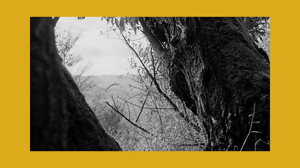 Impactist Earthworked Still Frame 27