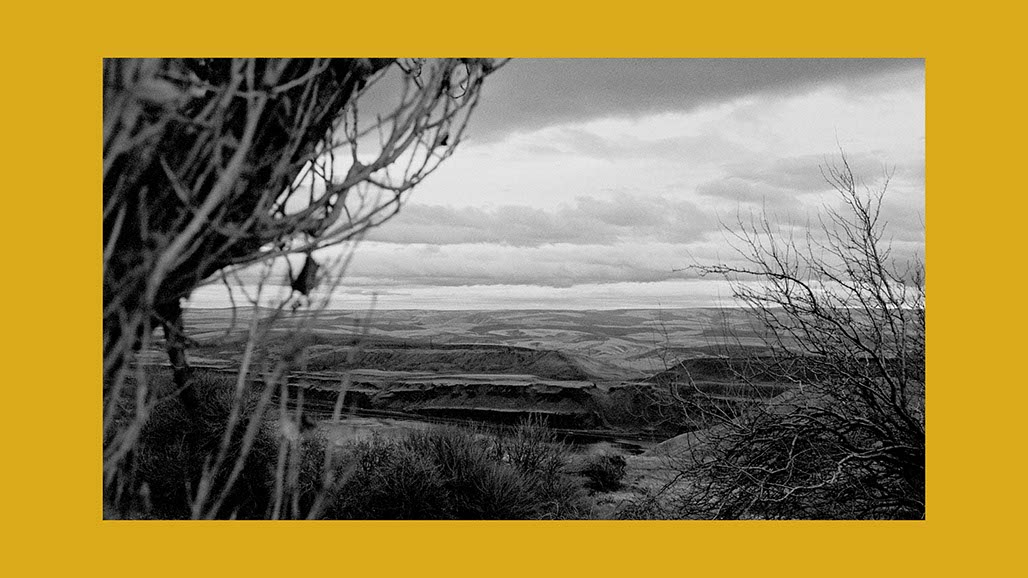 Impactist Earthworked Still Frame 26