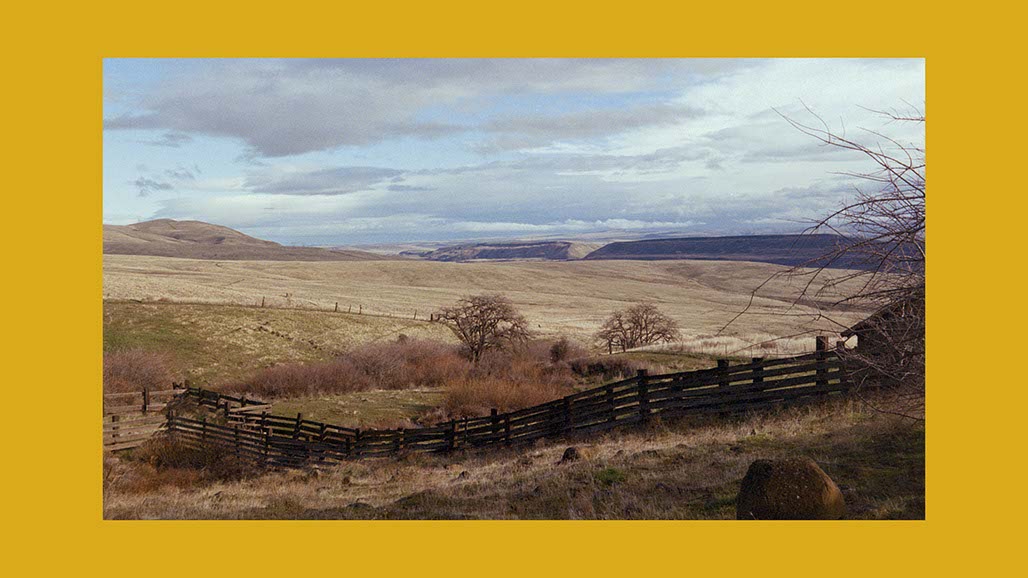 Impactist Earthworked Still Frame 29