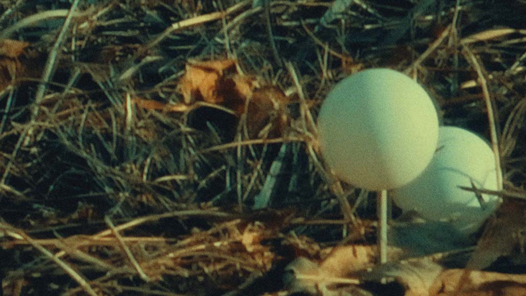 Impactist FR Still Frame 01