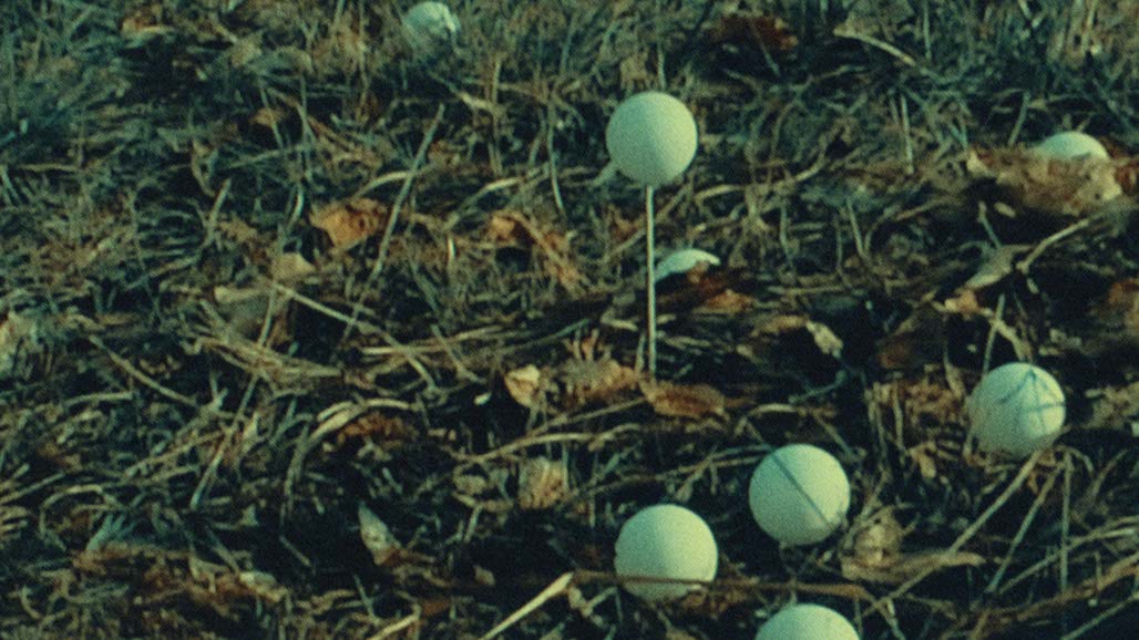 Impactist FR Still Frame 22