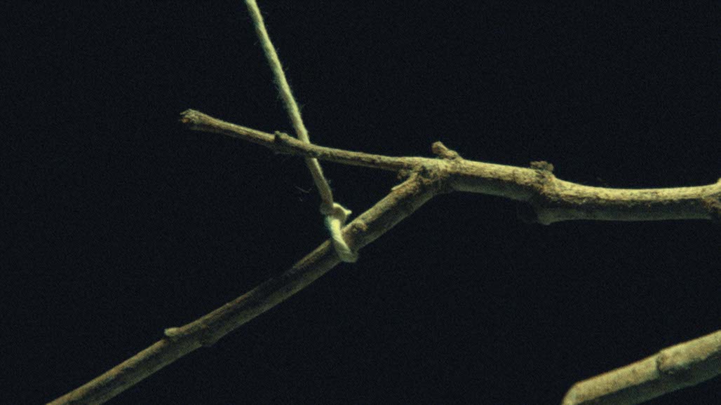 Impactist FR Still Frame 09