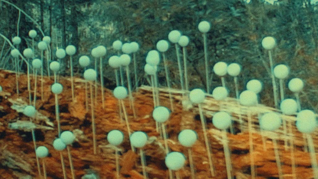 Impactist FR Still Frame 12