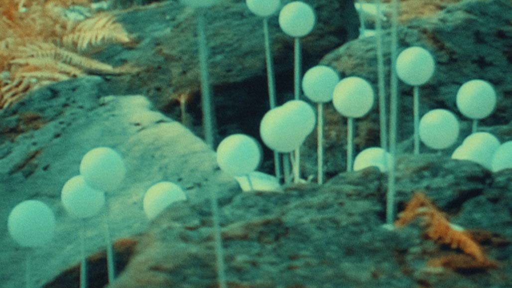 Impactist FR Still Frame 14